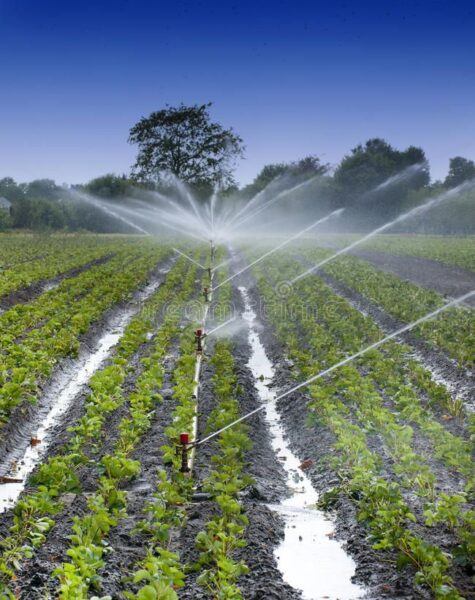pumps and sprinklers