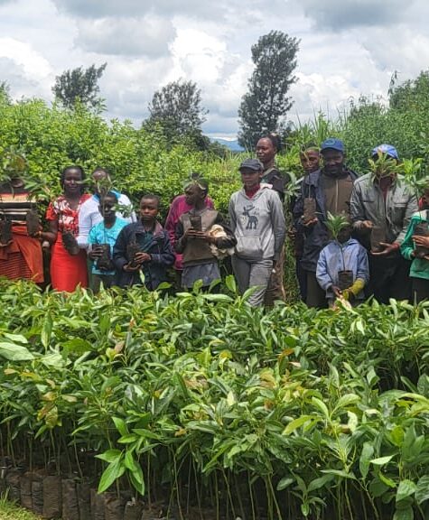 Green Africa team